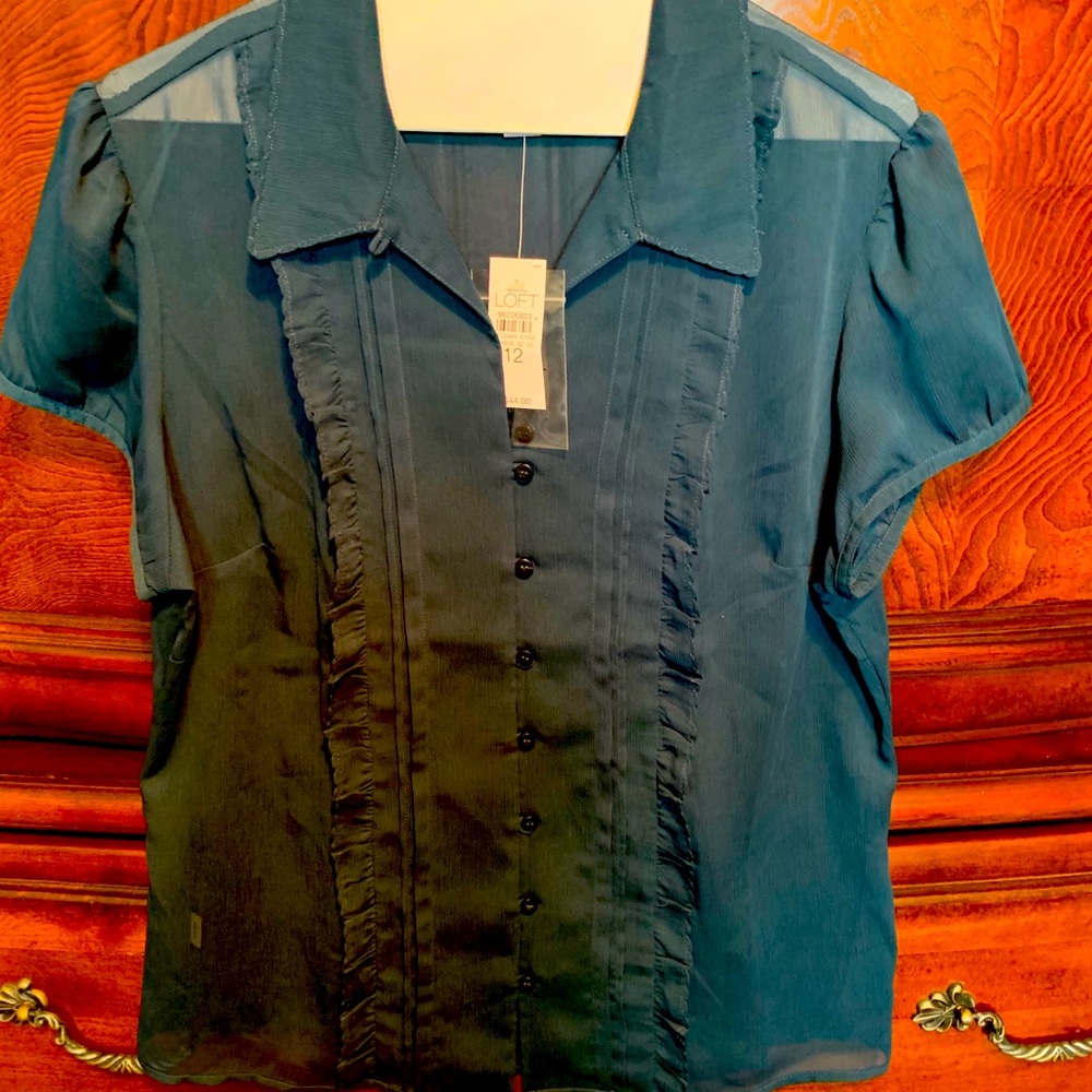 Ann Taylor Loft Sheer blue blouse. Size 12